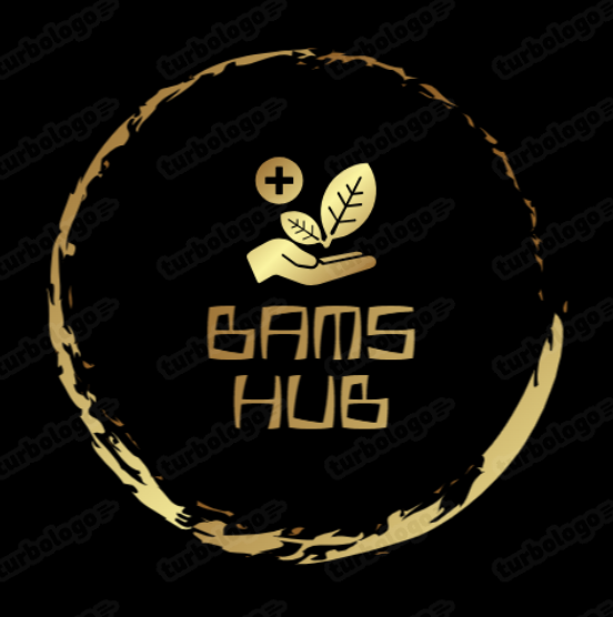 BAMS Hub Logo